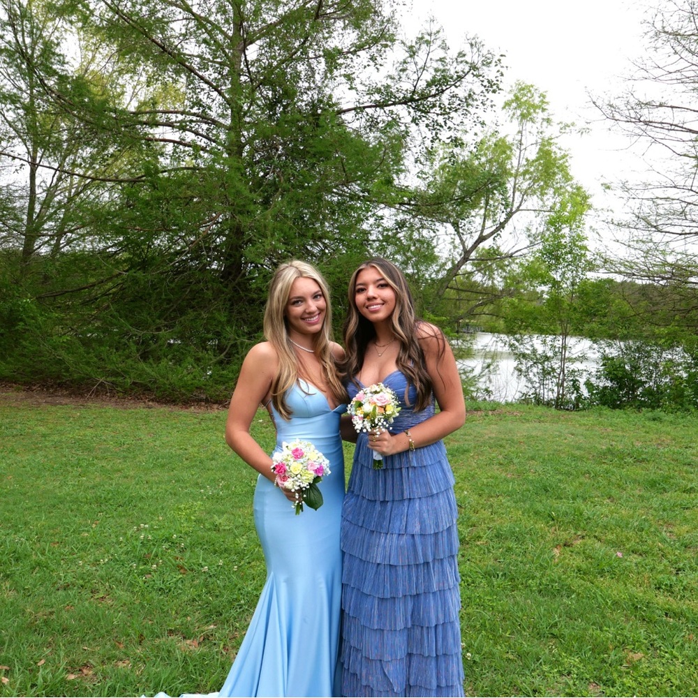 Elegant Blue Gowns